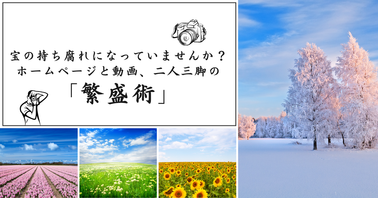 宝の持ち腐れになっていませんか？